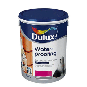 Waterproof Paint