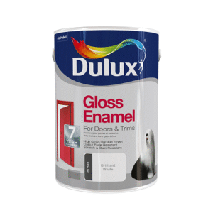 Enamel Paint